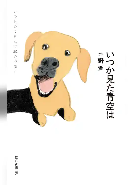 いつか見た青空は