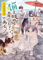江ノ島は猫の島である　～猫を眺める青空カフェである～