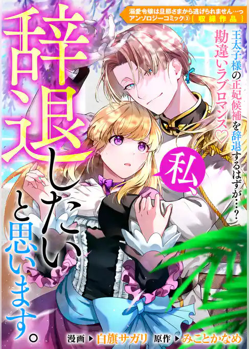 私、辞退したいと思います。