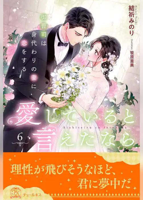 愛していると言えたなら　御曹司は身代わりの妻に恋をする