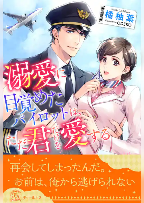 【全1-6セット】溺愛に目覚めたパイロットは、ただ君だけを愛する【イラスト付】
