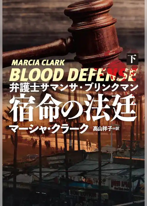 弁護士サマンサ・ブリンクマン 宿命の法廷