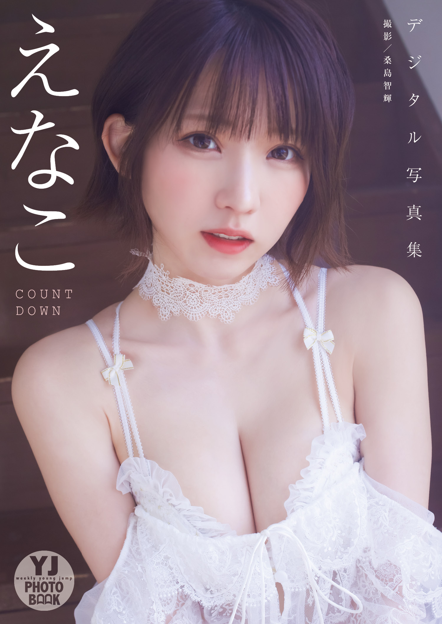 えなこ 写真集 24冊セット - その他