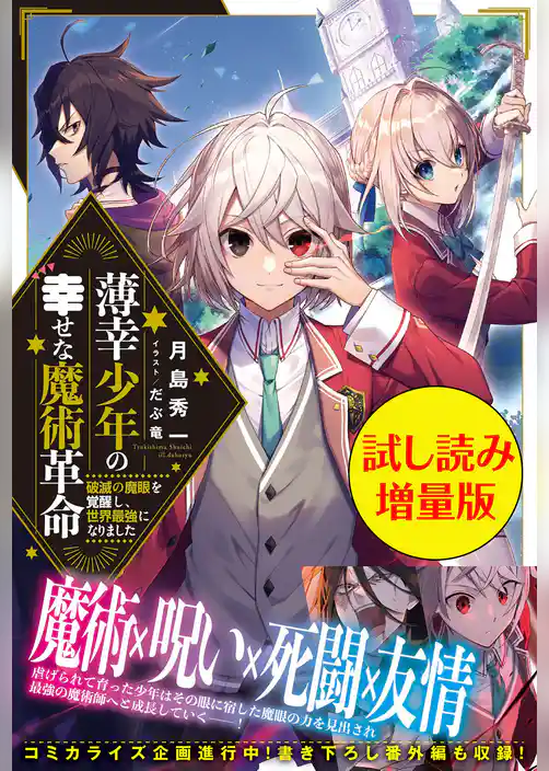 薄幸少年の幸せな魔術革命