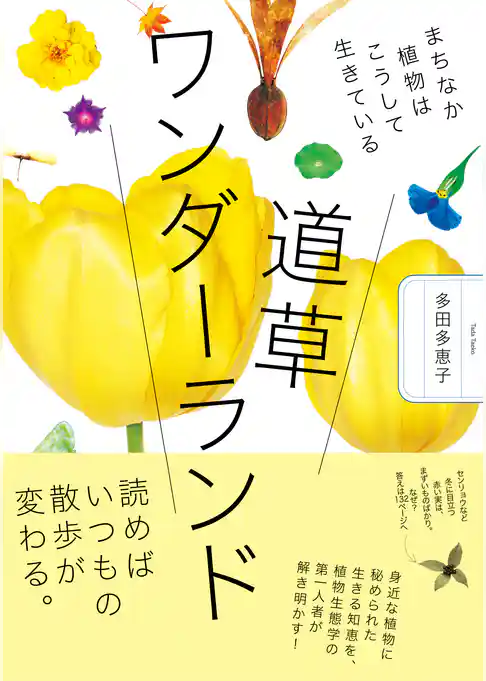 道草ワンダーランド　まちなか植物はこうして生きている