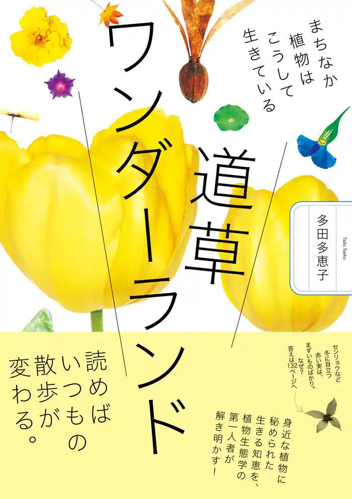 道草ワンダーランド まちなか植物はこうして生きている