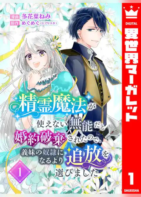 精霊魔法が使えない無能だと婚約破棄されたので、義妹の奴隷になるより追放を選びました 1