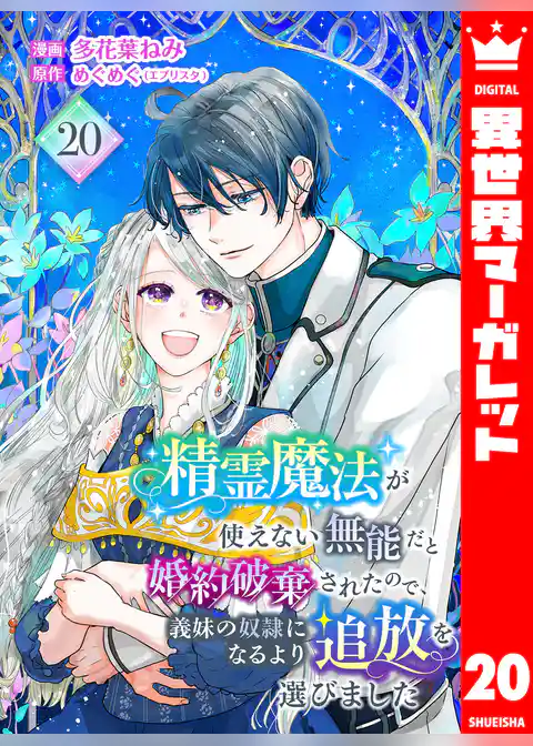 精霊魔法が使えない無能だと婚約破棄されたので、義妹の奴隷になるより追放を選びました