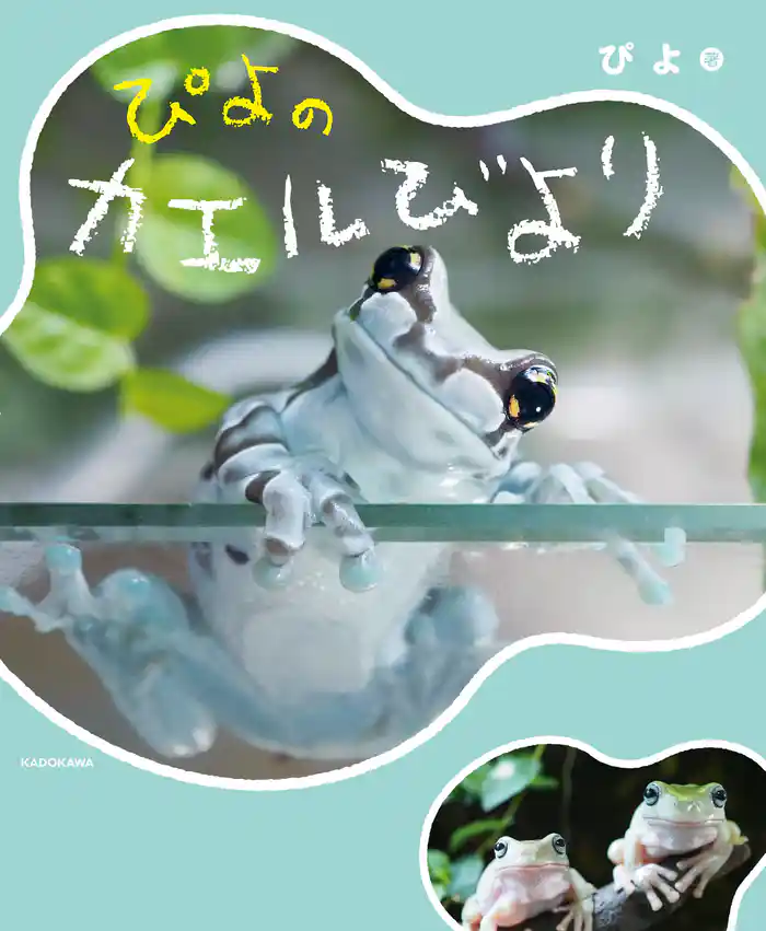 ぴよのカエルびより