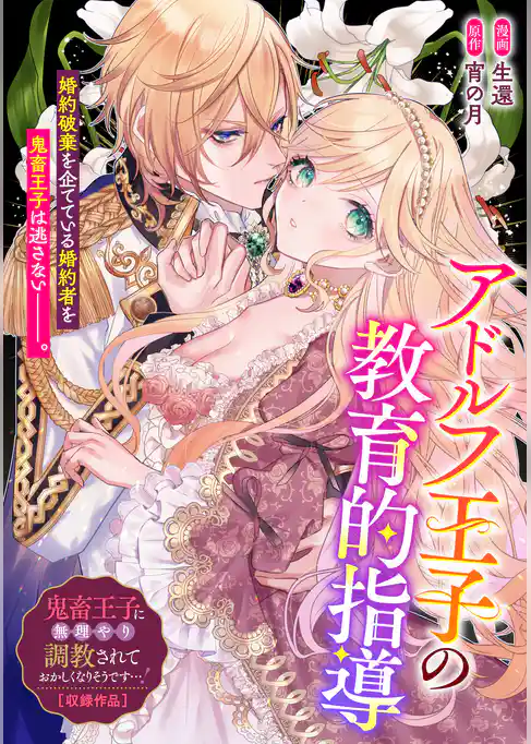 アドルフ王子の教育的指導