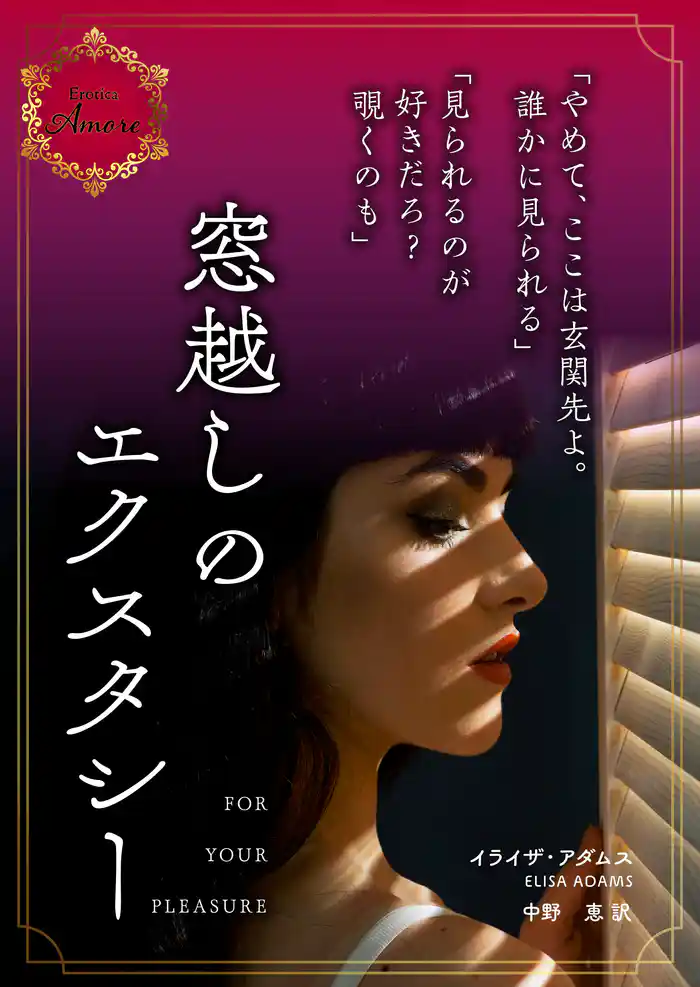 窓越しのエクスタシー