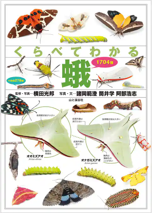 くらべてわかる蛾 1704種
