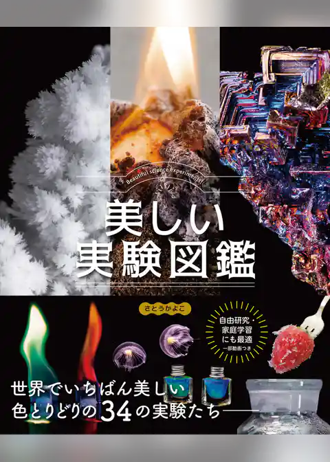 美しい実験図鑑　世界でいちばん美しい34の実験たち