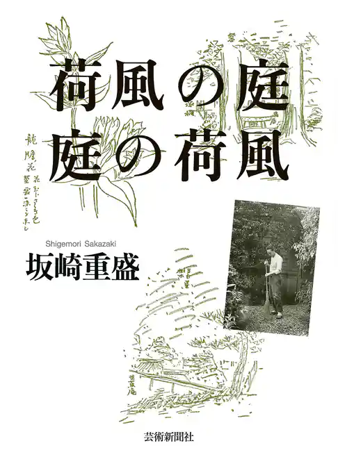 荷風の庭 庭の荷風