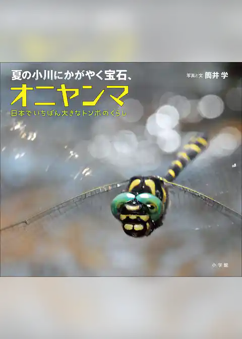 夏の小川にかがやく宝石、オニヤンマ　～日本でいちばん大きなトンボのくらし～（小学館の図鑑NEOの科学絵本）