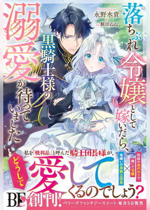 落ちぶれ令嬢として嫁いだら、黒騎士様の溺愛が待っていました【電子限定SS付き】