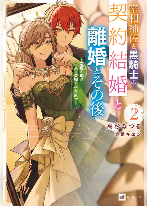 宰相補佐と黒騎士の契約結婚と離婚とその後