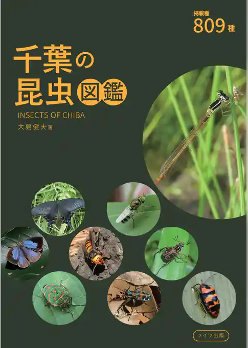 千葉の昆虫図鑑