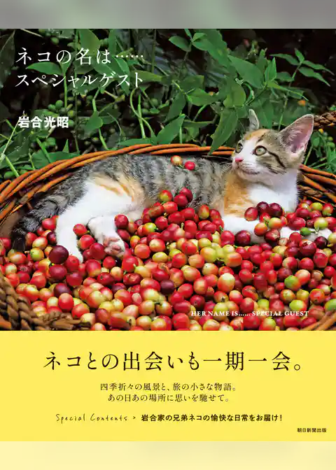 ネコの名は…… スペシャルゲスト