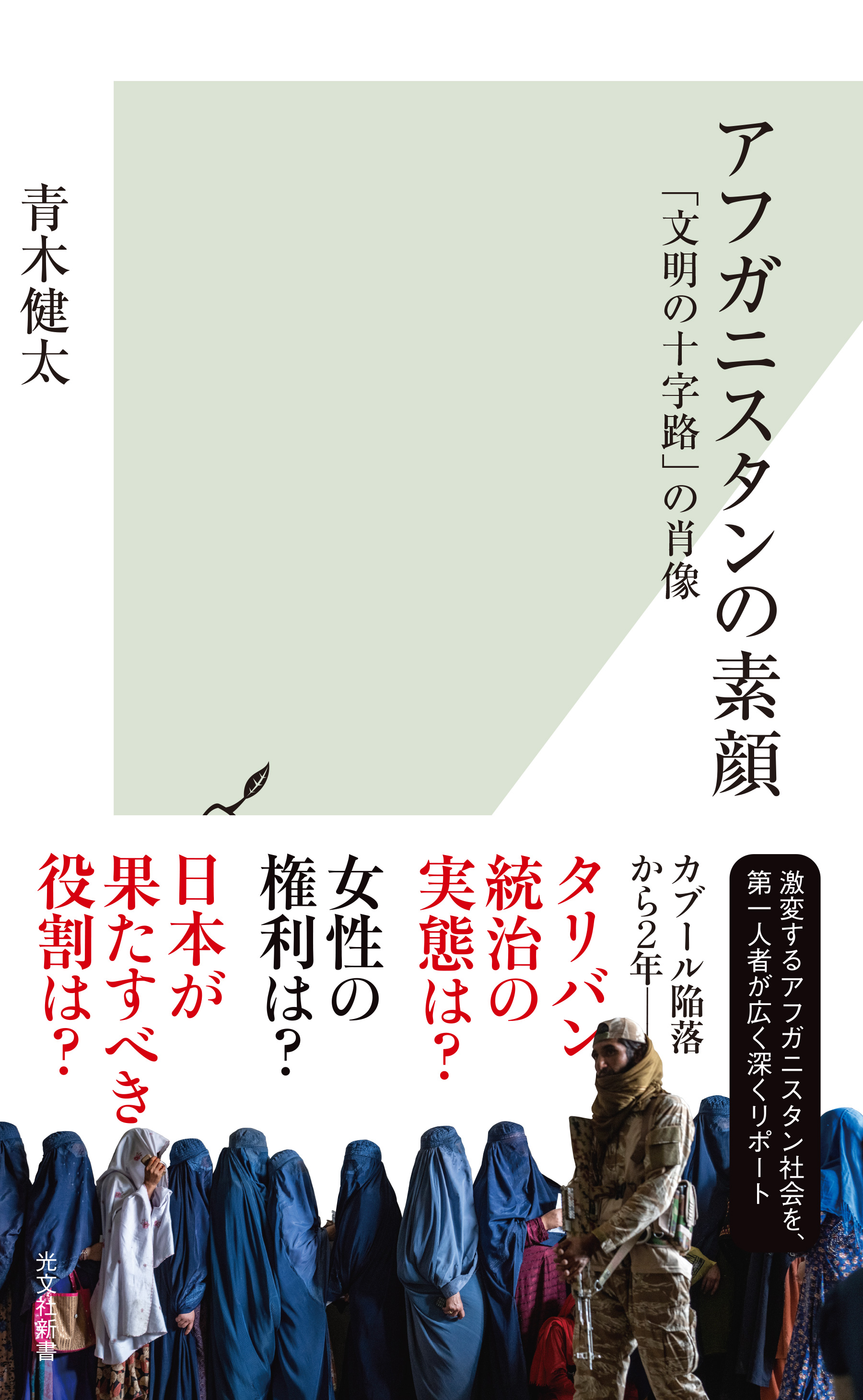 アフガニスタンの素顔～「文明の十字路」の肖像～(書籍) - 電子書籍