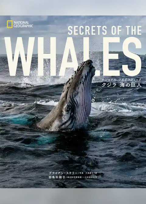 ナショナル ジオグラフィック クジラ 海の巨人