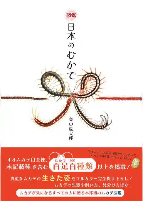 図鑑　日本のむかで