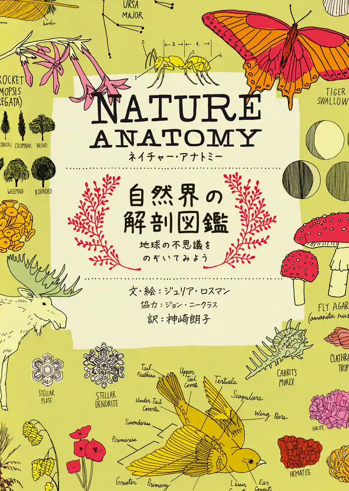 NATURE ANATOMY (ネイチャー・アナトミー)自然界の解剖図鑑~地球の不思議をのぞいてみよう