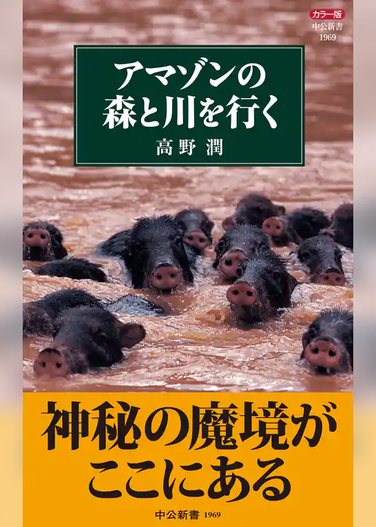 カラー版　アマゾンの森と川を行く