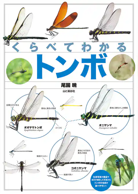 くらべてわかる トンボ