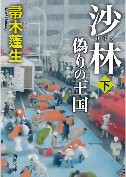 沙林　偽りの王国