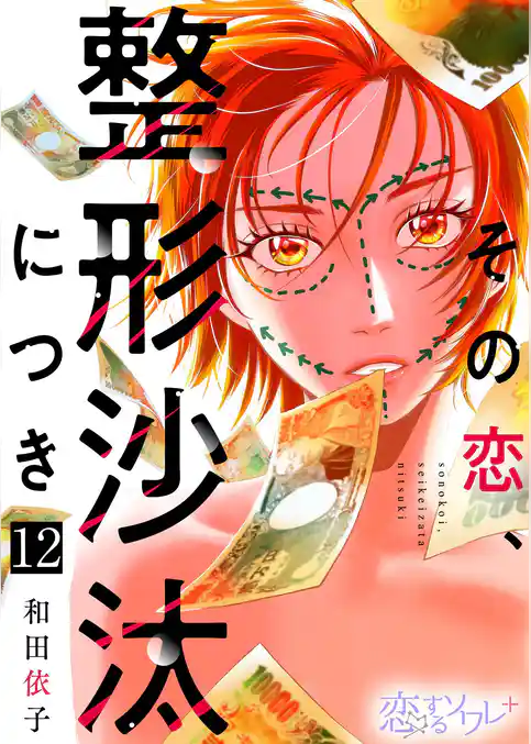 その恋、整形沙汰につき