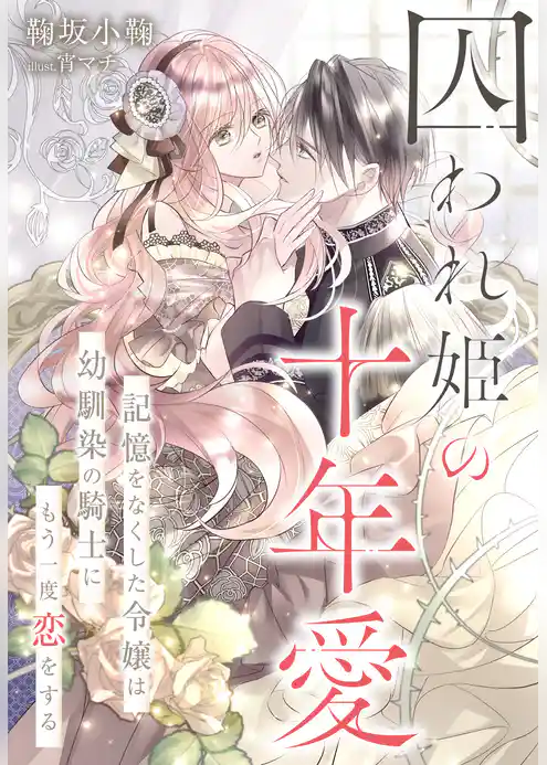 囚われ姫の十年愛～記憶をなくした令嬢は幼馴染の騎士にもう一度恋をする～