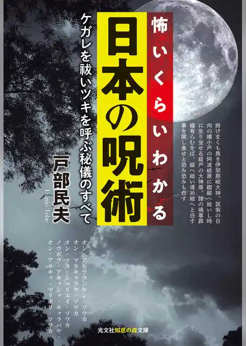 怖いくらいわかる日本の呪術～ケガレを祓いツキを呼ぶ秘儀のすべて～