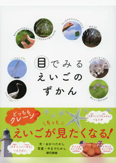 目でみるえいごのずかん