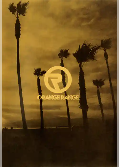 ORANGE RANGE 10th Anniversary パンフレット 電子版