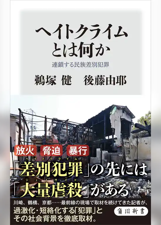 ヘイトクライムとは何か　連鎖する民族差別犯罪