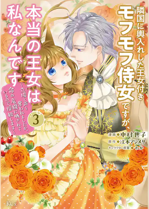 隣国に輿入れした王女付きモフモフ侍女ですが、本当の王女は私なんです