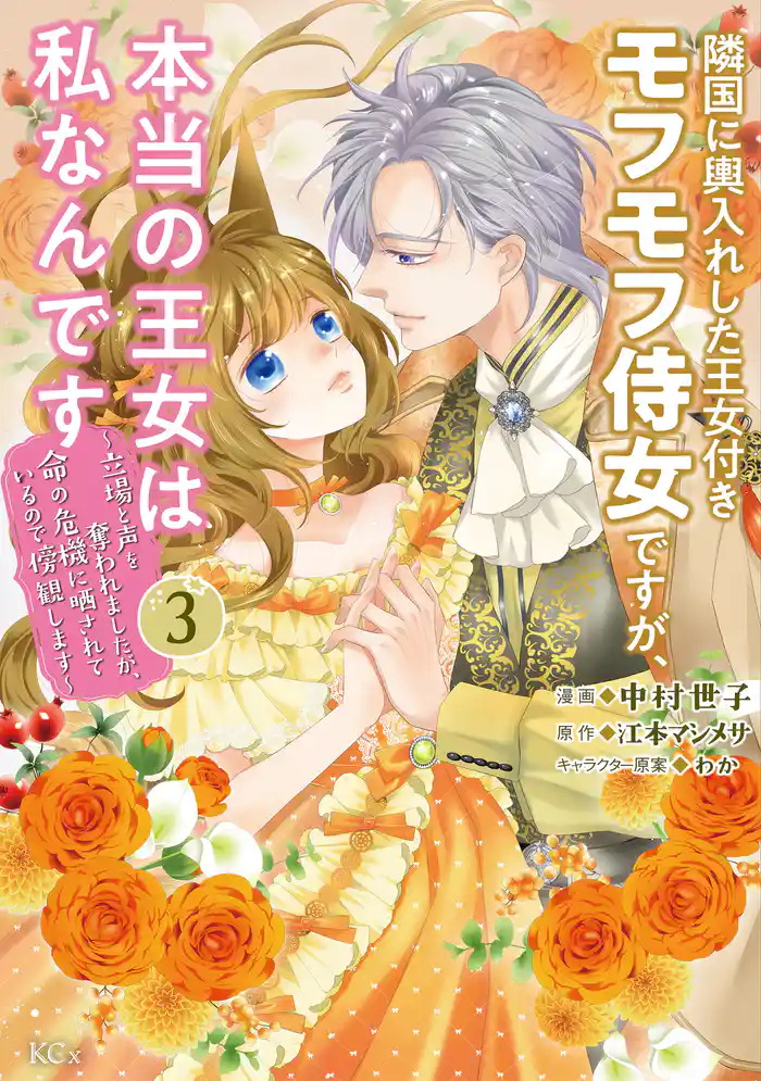 隣国に輿入れした王女付きモフモフ侍女ですが、本当の王女は私なんです（３）　～立場と声を奪われましたが、命の危機に晒されているので傍観します～