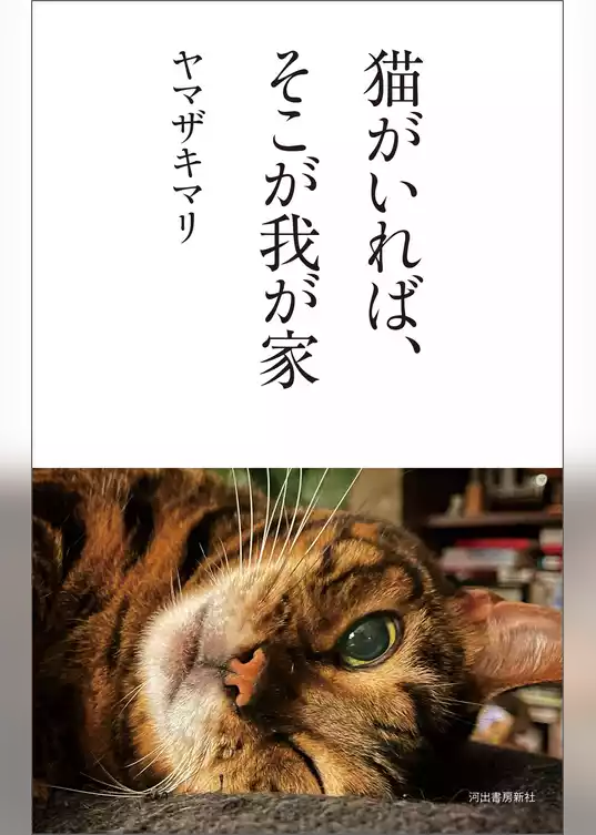 猫がいれば、そこが我が家