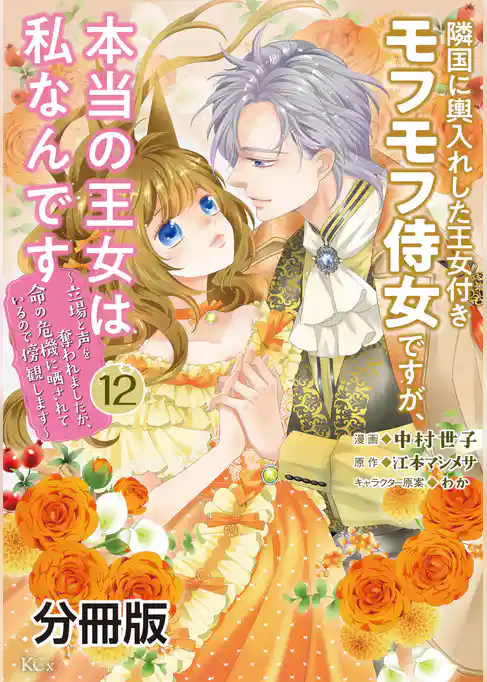 隣国に輿入れした王女付きモフモフ侍女ですが、本当の王女は私なんです　分冊版