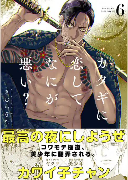 カタギに恋してなにが悪い？