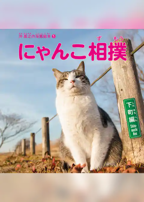 沖昌之の写真絵本 にゃんこ相撲　〈下町編〉