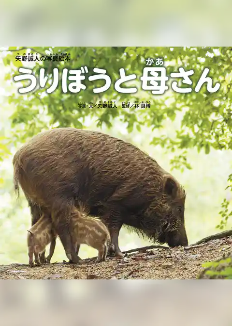 矢野誠人の写真絵本 うりぼうと母さん