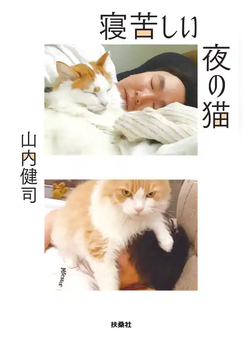 寝苦しい夜の猫
