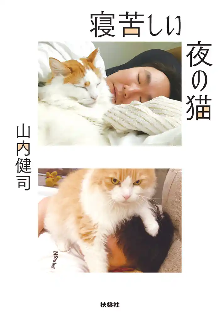 寝苦しい夜の猫