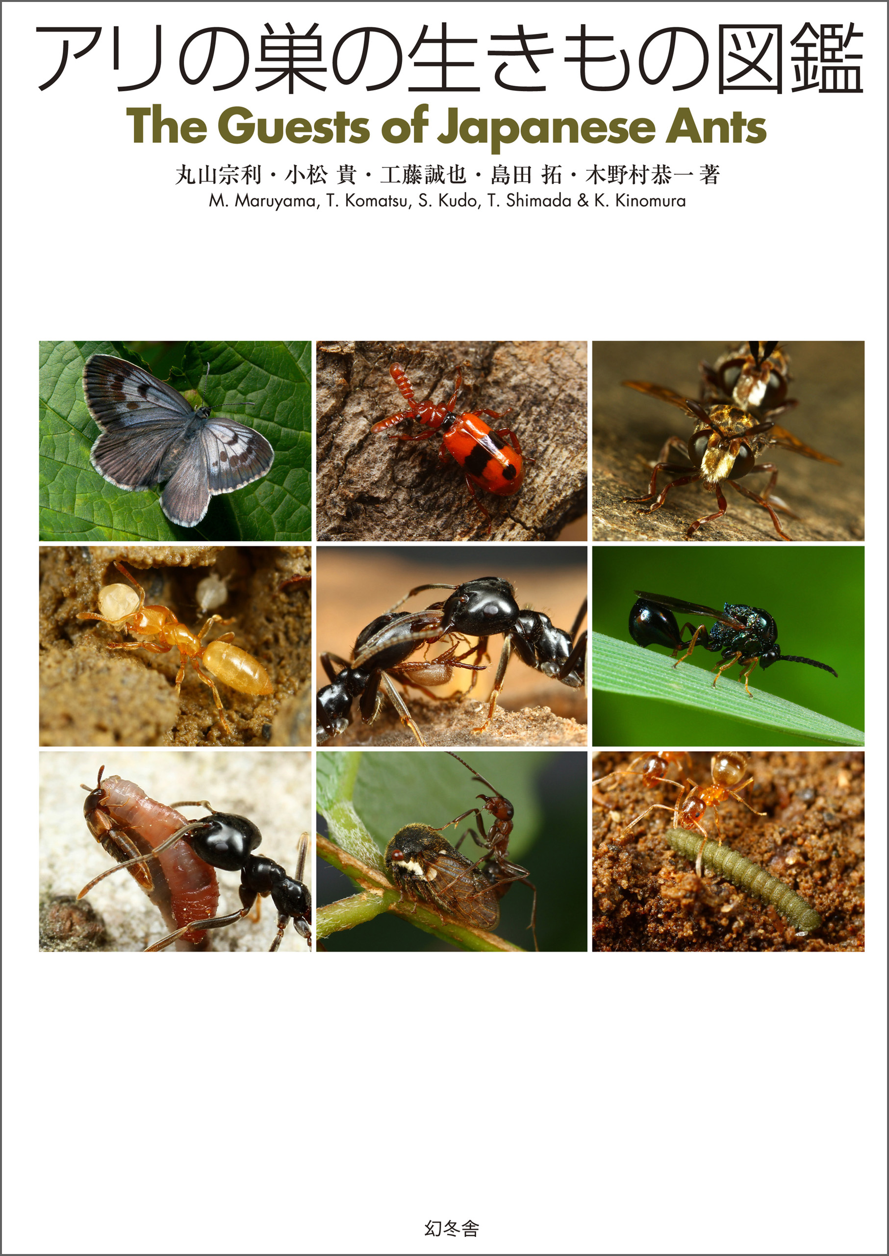 アリの巣の生きもの図鑑(書籍) - 電子書籍 | U-NEXT 初回600円分無料