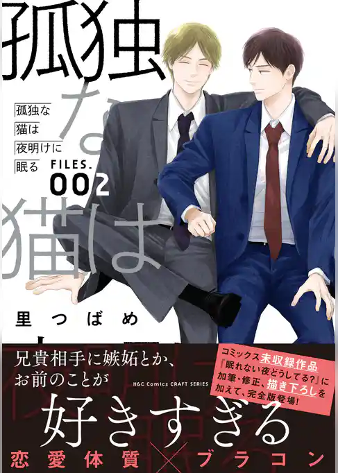 孤独な猫は夜明けに眠る