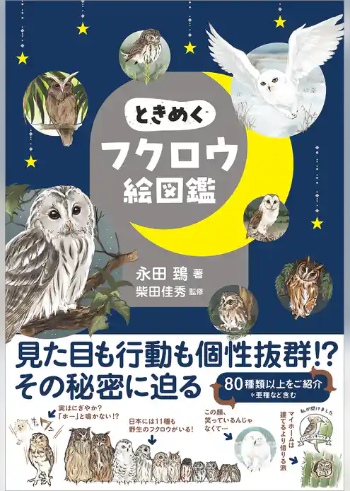 ときめくフクロウ絵図鑑