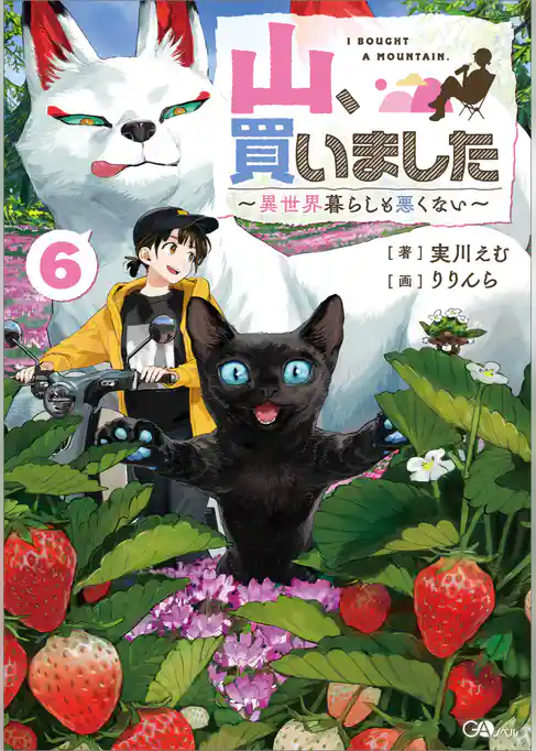 山、買いました