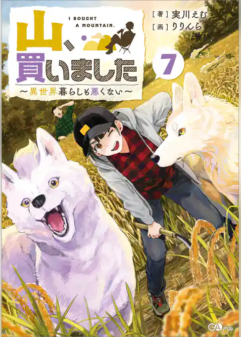 山、買いました